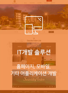 IT개발 솔루션